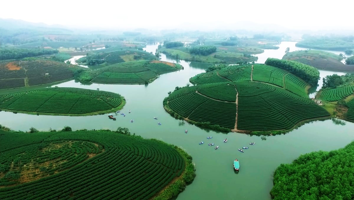 Tour Đảo Chè Thanh Chương